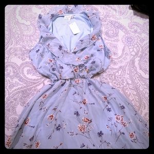 Paris to Jena Blue Floral Dress